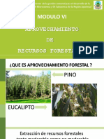 Gestión forestal y aprovechamiento de recursos en Apurímac