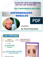 Clase 13 Enfermedad Renal Infantil