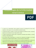 Fisiopatología de La Enfermedad Renal Crónica