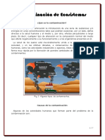 contaminacion.pdf