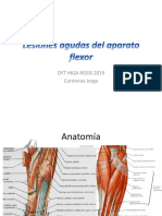 Lesiones Flexores de Mano