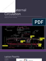 Feto Maternal Circulation