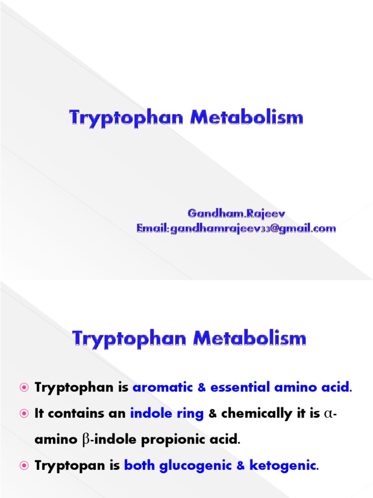 Tryptophan Metabolism Pathways Explained | PDF | Serotonin | Molecular ...
