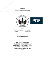Referat CKD PDF