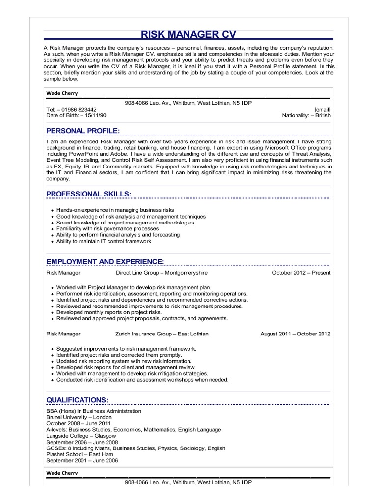 Risk Manager CV | PDF | Risk Management | Risk