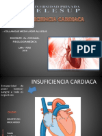 Insuficiencia Cardiaca 