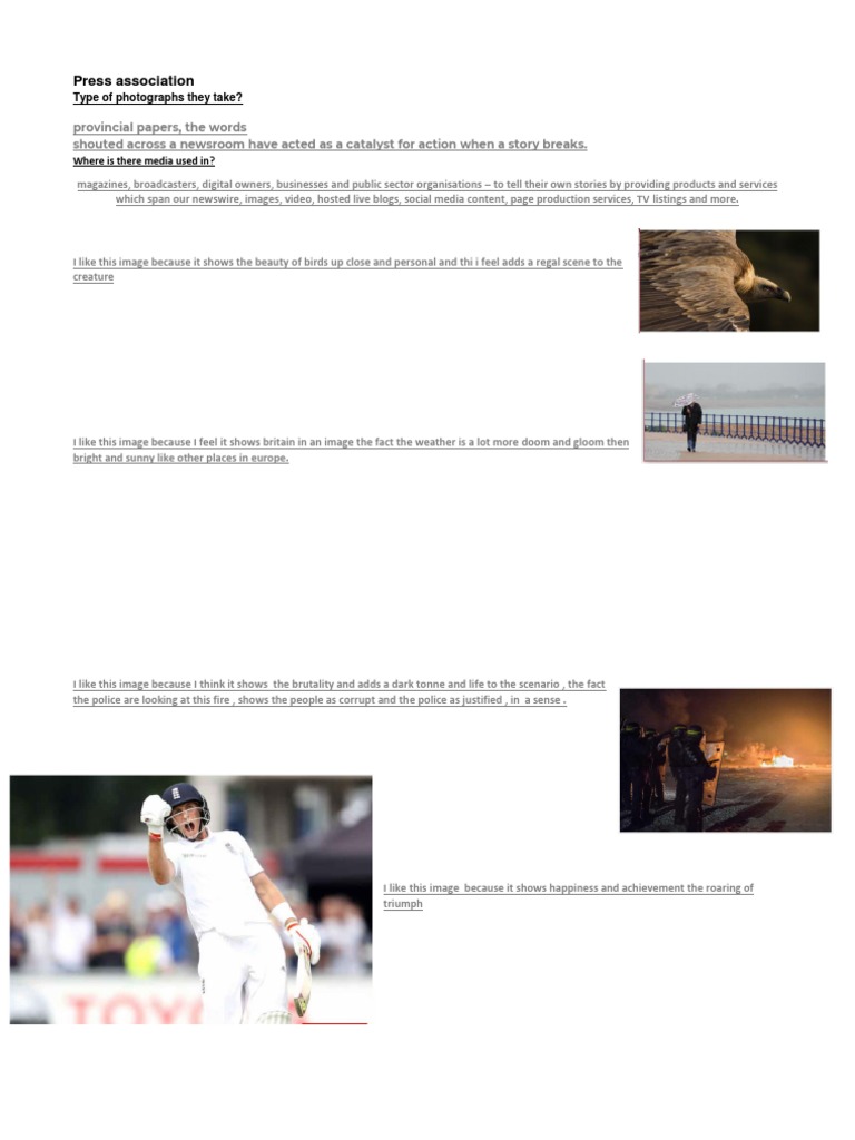 Press Association Type of Photographs They Take? PDF