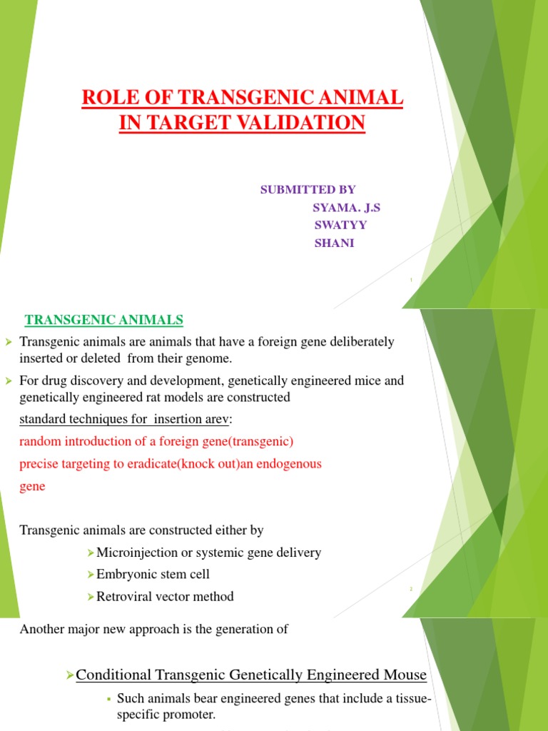 Transgenic Validation Model Organism Genetically Modified Organism