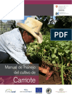 249590746-Manual-de-Manejo-de-Cultivo-de-Camote.pdf