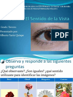 sesinsentidodelavista-101002100549-phpapp01.pdf