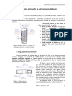 Simbolizare Filet PDF