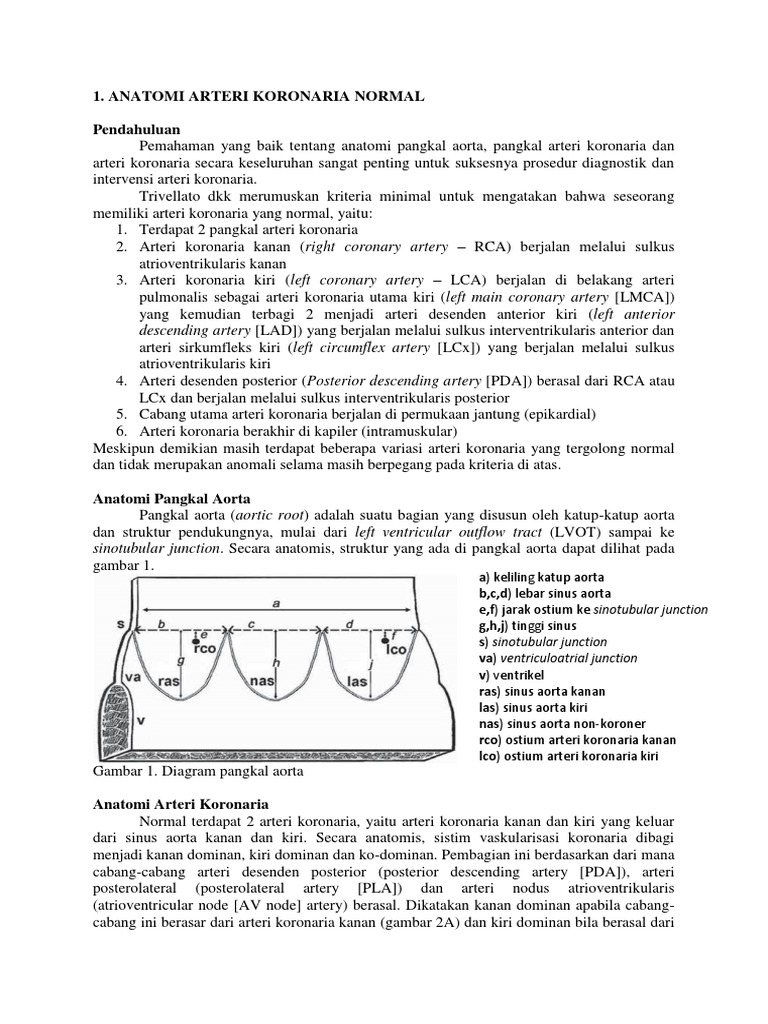 Kumpulan Tinjauan Kepustakaan Kardiologi Intervensi 2 | PDF