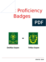 Scout PFB DS and TS
