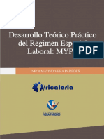 Desarrollo Teórico Práctico Del Regimen Especial Laboral