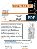 Dislocation of The Hip - Andre P