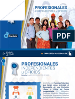 Profesionales Independientes U Oficios Impuestos Nacionales Bolivia