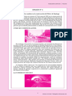 Ensayo 01.pdf