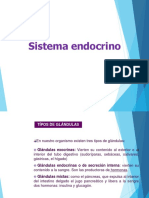 Sistema Endocrino