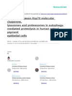 Crosstalk Between Hsp70 Molecular Chaperone, Lysosomes and Proteasomes in Autophagy-Mediated Proteolysis in Human Retinal Pigment Epithelial Cells