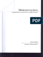 Hidrometalurgia - Fundamentos Proceso y Aplicaciones - Domic