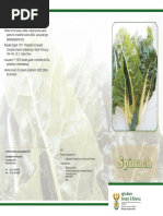 Brochure Spinach