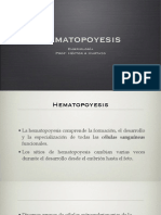 Hematopoyesis