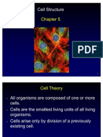 Chapter 5 - Cell Structure