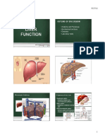 Liver Function