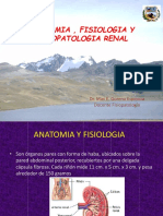 Fisiopatologia Renal