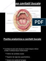 Cavitatea Bucala UMFT