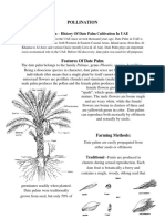 Biology - Pollination Case Study - Date Palm Cultivation in UAE