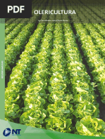 Olericultura Importancia