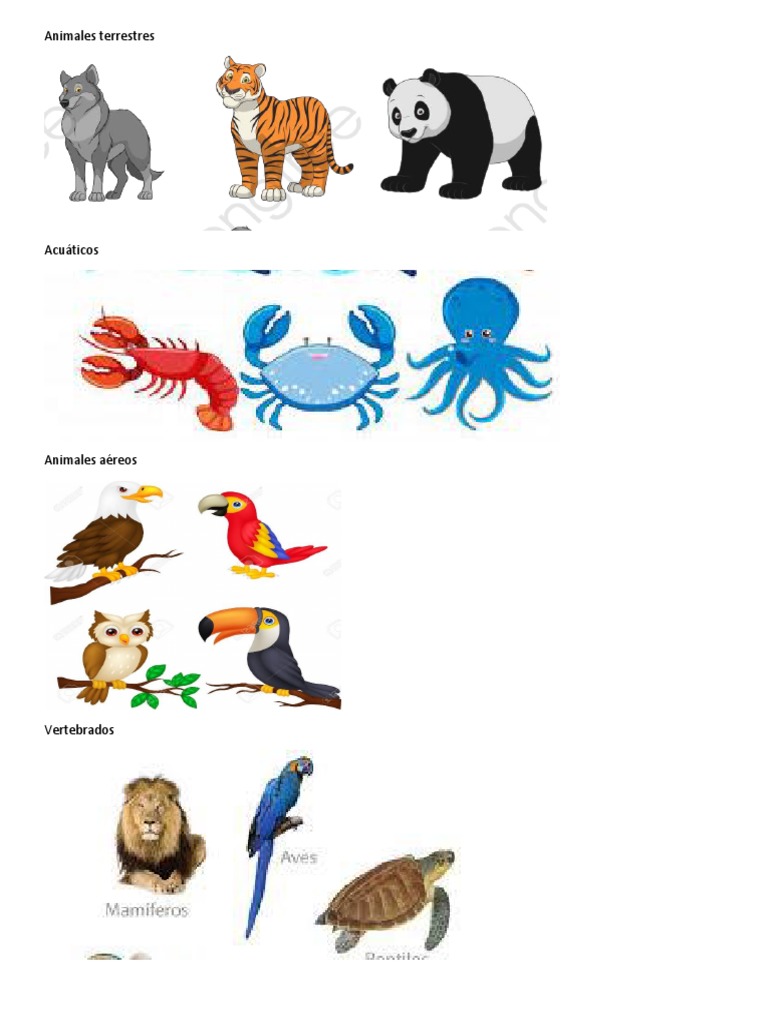 Animales Terrestres | PDF