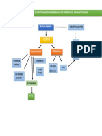 Diagrama Causa-Efecto de Granjas Porcinas