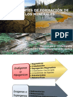 procesos mineralizantes.pdf
