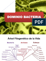 Dominio Bacteria
