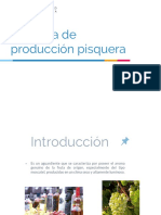 PPT PISCO