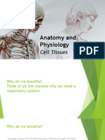 Anatomy and Physiology