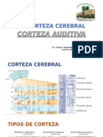 LA CORTEZA AUDITIVApptx PDF