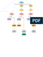 Organigrama Jerarquico