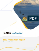 LNG Production - Report PDF