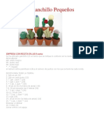 Cactus modelos.pdf