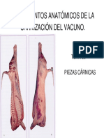 piezasCarnicas.pdf