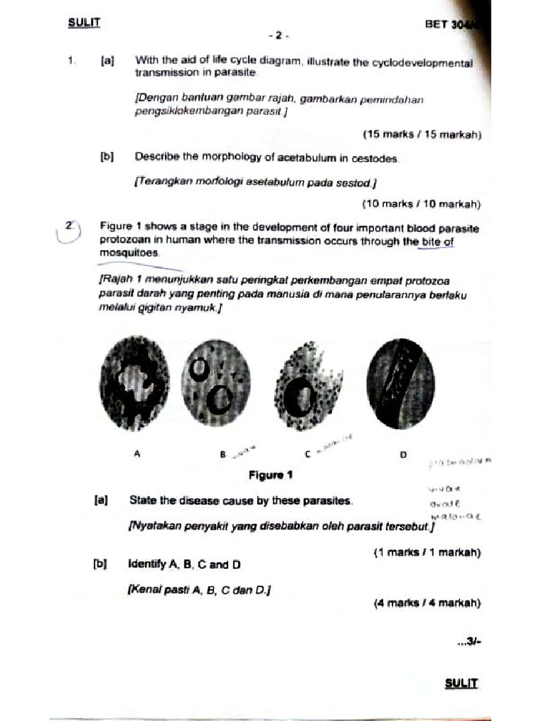 BET304 Introductory Parasitology USM Examination Paper Academic Session ...