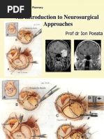 An Introduction to Neurosurgical Approaches 2010 SCURT FINAL