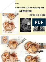 An Introduction To Neurosurgical Approaches 2010 SCURT FINAL