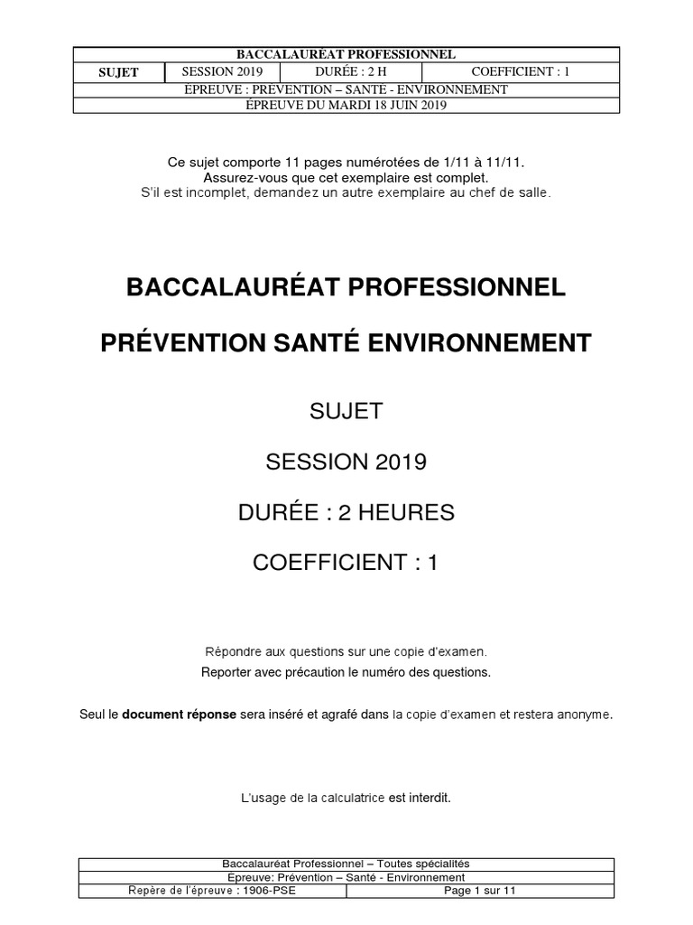 Sujet Bac Pro Métiers De La Sécurité Corrigé 2022 BCP Pse Sujet 2019 | PDF | Pollution de l'air | Shampooing