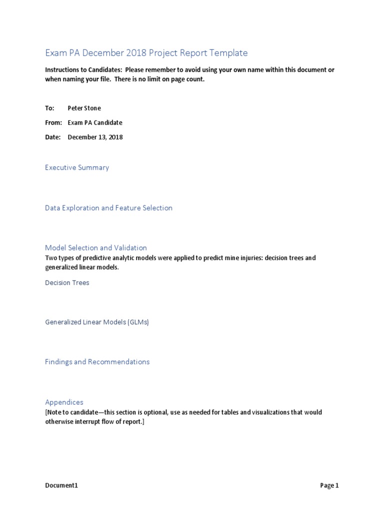 Exam PA Project Report Template | PDF
