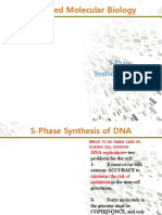 Advanced Molecular Biology: S-Phase Synthesis of DNA