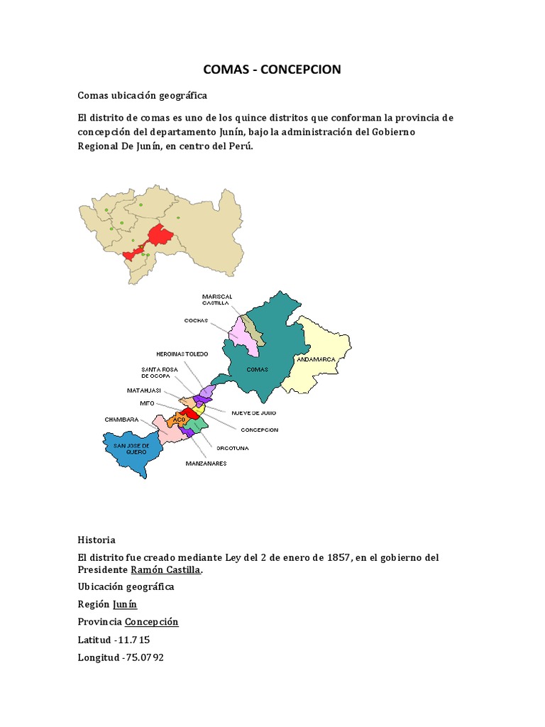 Comas: Distrito de Concepción, Junín | PDF | Política | Ciencias sociales